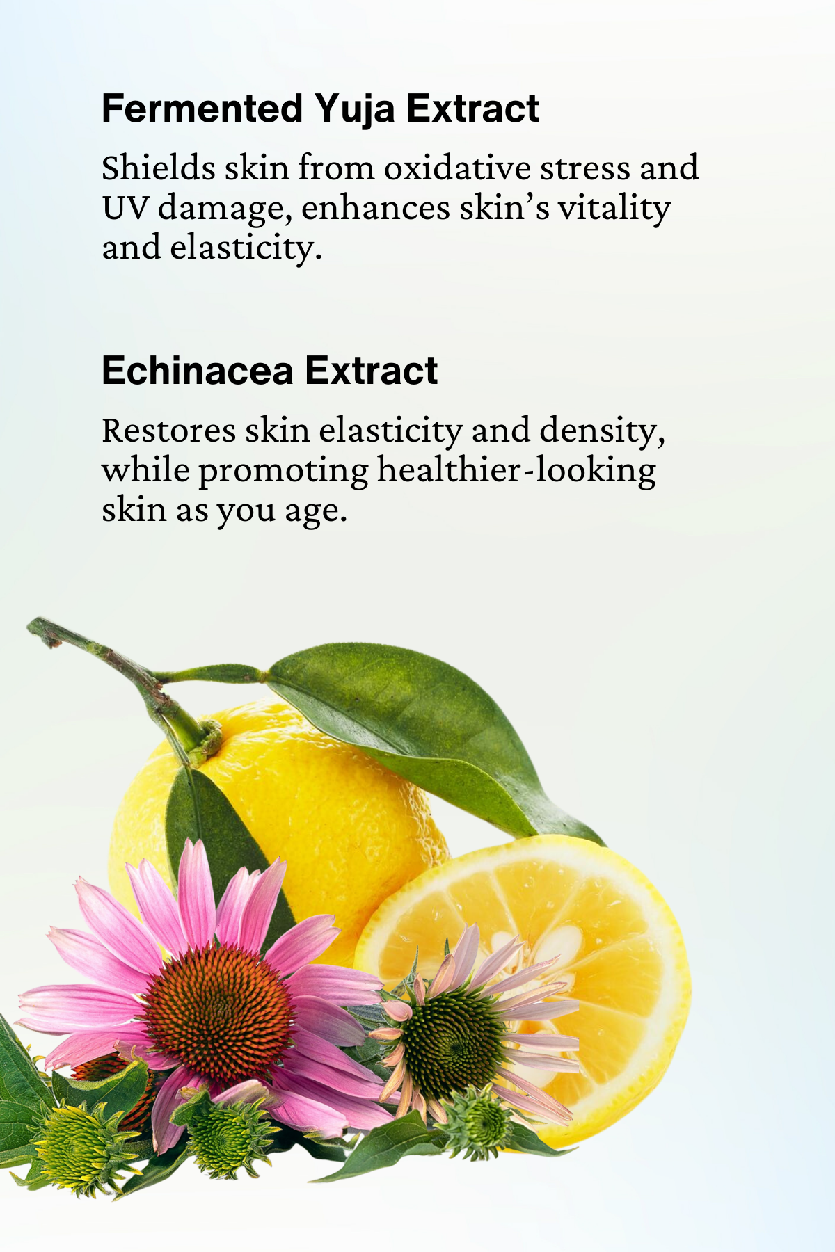 best skin care for aging skin, stayuth